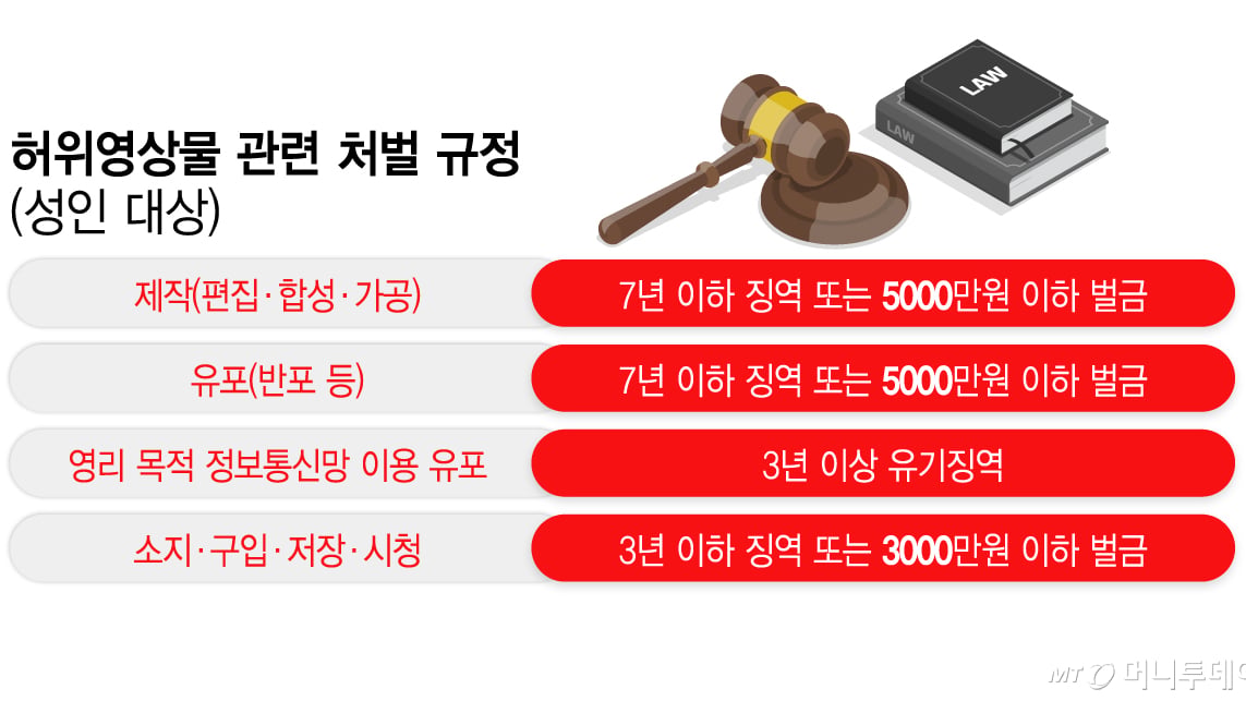 AI 가상 인물 성적 영상물 처벌법 성폭력처벌법 제14조의4 법사위 소위 과잉입법 논란 2026